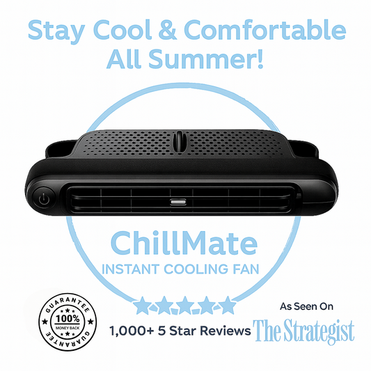 ChillMate™ Car Fan